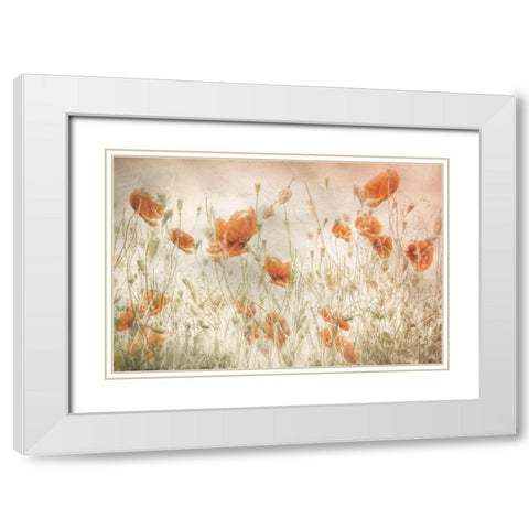 Poppies In The Field White Modern Wood Framed Art Print with Double Matting by Talen, Nel