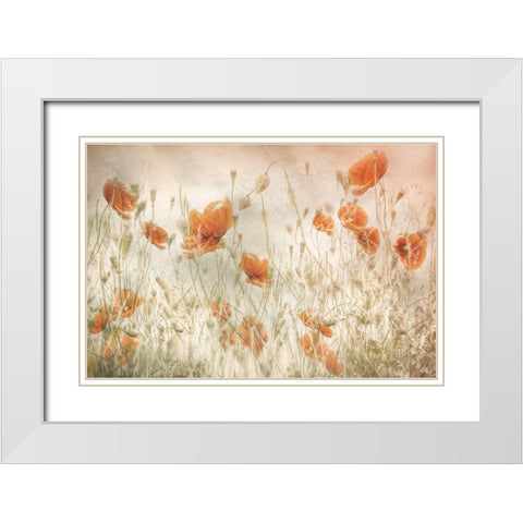 Poppies In The Field White Modern Wood Framed Art Print with Double Matting by Talen, Nel