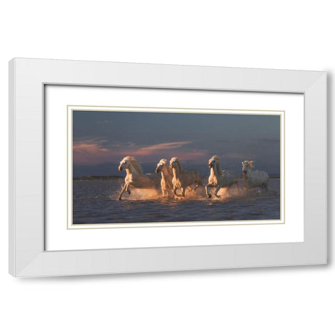 Camargue Horses On Sunset White Modern Wood Framed Art Print with Double Matting by Anton, Rostovskiy