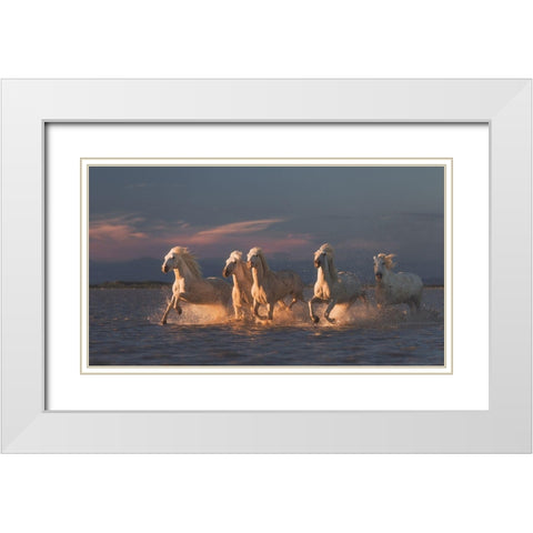 Camargue Horses On Sunset White Modern Wood Framed Art Print with Double Matting by Anton, Rostovskiy