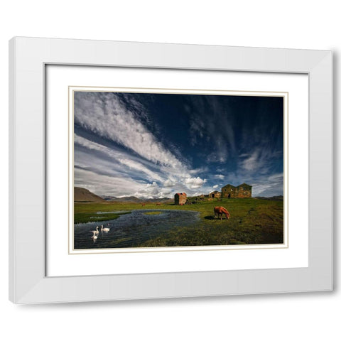 Country Life White Modern Wood Framed Art Print with Double Matting by H. Ingibergsson, Torsteinn
