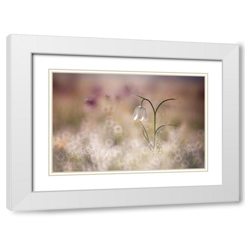 Albino White Modern Wood Framed Art Print with Double Matting by Van Dongen, Anton