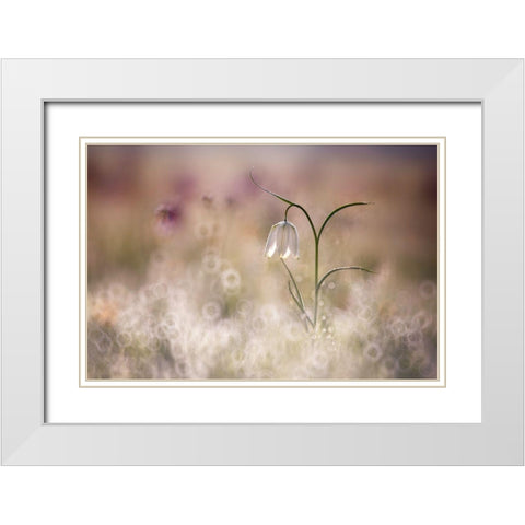 Albino White Modern Wood Framed Art Print with Double Matting by Van Dongen, Anton