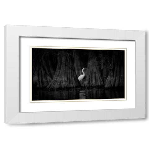Egret And Cypress White Modern Wood Framed Art Print with Double Matting by Zheng, Michael