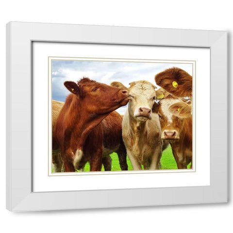Pre Shoot White Modern Wood Framed Art Print with Double Matting by Clark, Ray