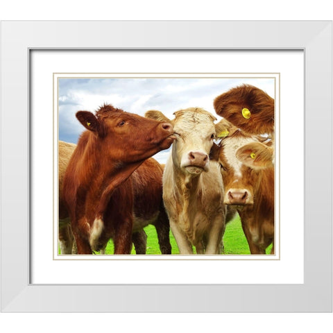Pre Shoot White Modern Wood Framed Art Print with Double Matting by Clark, Ray