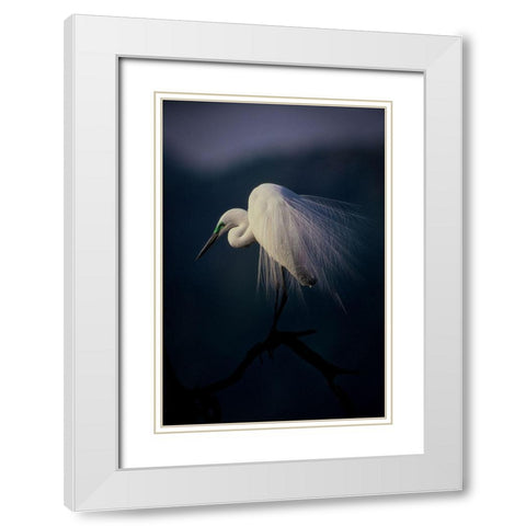 Beautiful Ornament Feathers White Modern Wood Framed Art Print with Double Matting by Yamashita, Takafumi