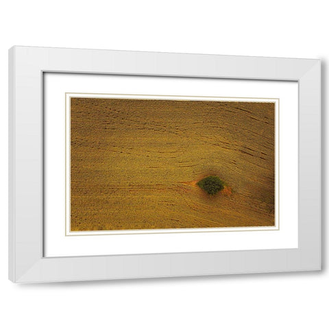 Eye In Field White Modern Wood Framed Art Print with Double Matting by Zheng, Michael