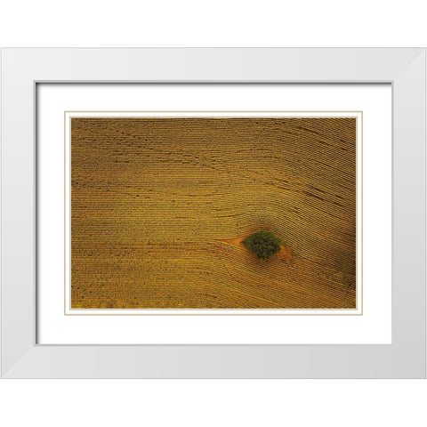 Eye In Field White Modern Wood Framed Art Print with Double Matting by Zheng, Michael