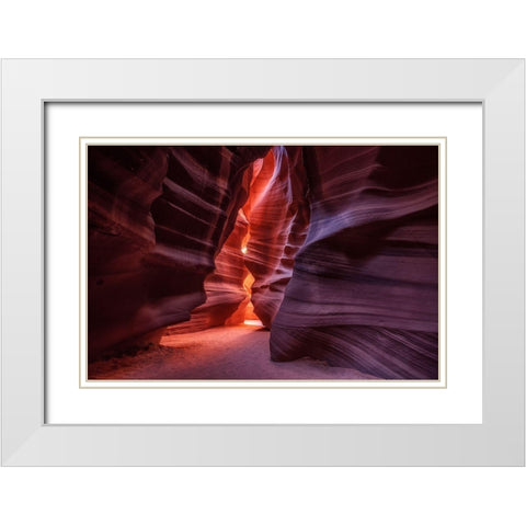 Antelope White Modern Wood Framed Art Print with Double Matting by Alvarez Osorio, Cesar