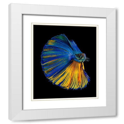 Yellow A Blue White Modern Wood Framed Art Print with Double Matting by Halil, Andi