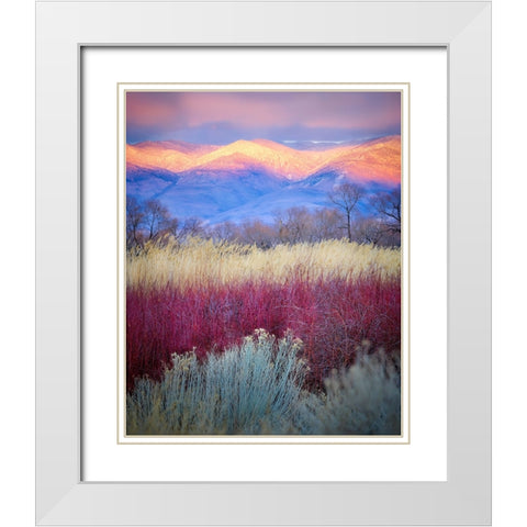 Field Layers White Modern Wood Framed Art Print with Double Matting by Kirbyturnage