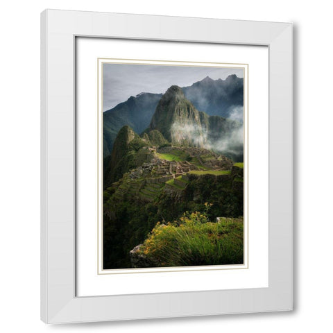 Andean Garden White Modern Wood Framed Art Print with Double Matting by K. Papp, James