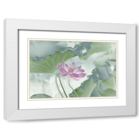 Lotus White Modern Wood Framed Art Print with Double Matting by L., Binbin