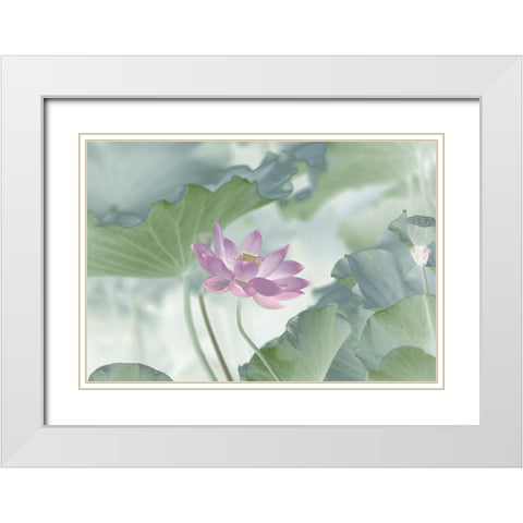 Lotus White Modern Wood Framed Art Print with Double Matting by L., Binbin