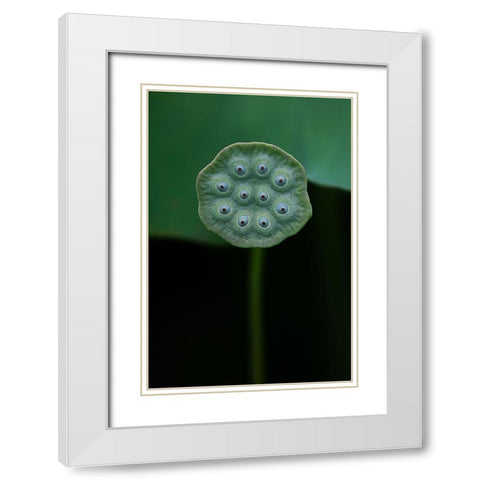 A Lotus White Modern Wood Framed Art Print with Double Matting by Liu, Yanny