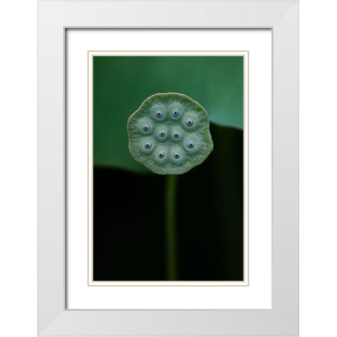 A Lotus White Modern Wood Framed Art Print with Double Matting by Liu, Yanny