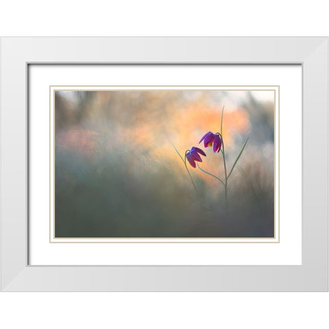 Spring Danse White Modern Wood Framed Art Print with Double Matting by Blomme, Sebastien