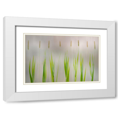 Harmony White Modern Wood Framed Art Print with Double Matting by Van Son, Greetje
