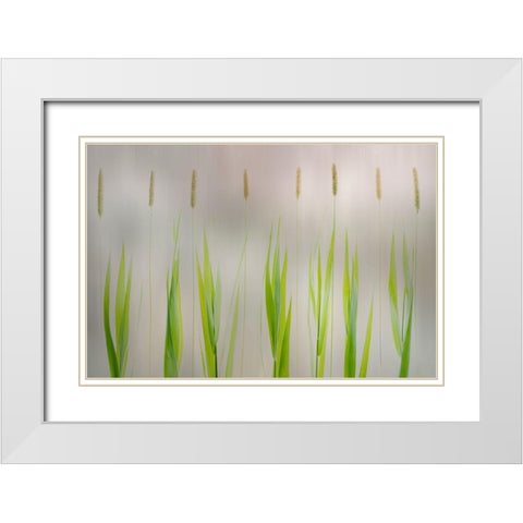 Harmony White Modern Wood Framed Art Print with Double Matting by Van Son, Greetje