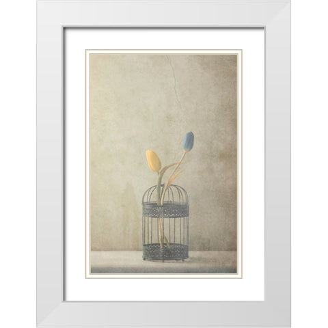 But Together... White Modern Wood Framed Art Print with Double Matting by Devos, Delphine