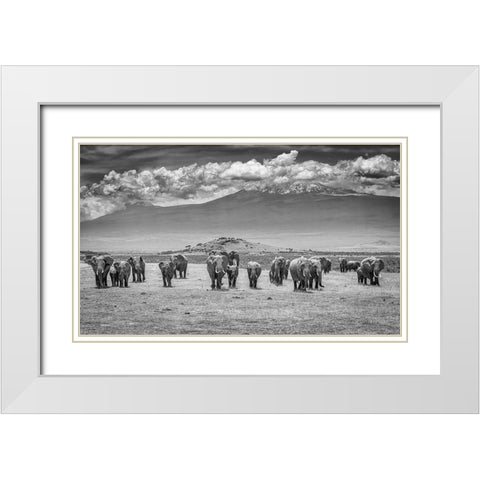 The Titans White Modern Wood Framed Art Print with Double Matting by C. Sink, Jeffrey