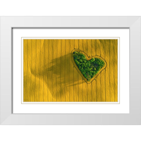 L3 White Modern Wood Framed Art Print with Double Matting by Malkiewicz, tukasz