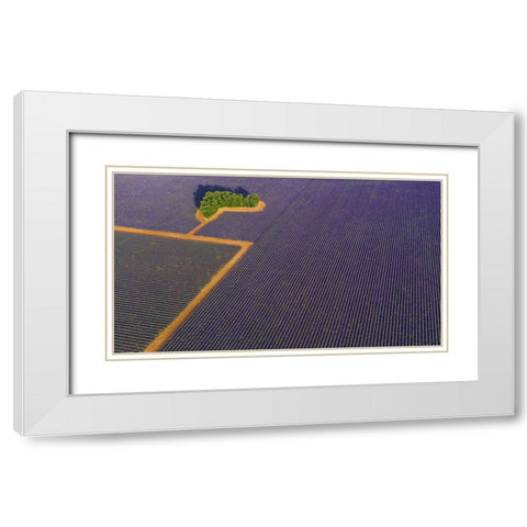 Lavender Graphic White Modern Wood Framed Art Print with Double Matting by Pelissier, Marc