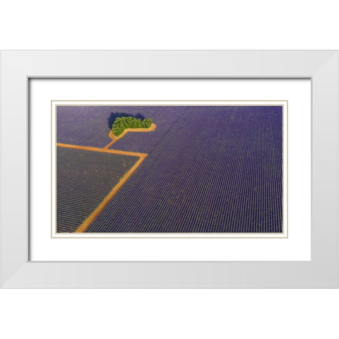 Lavender Graphic White Modern Wood Framed Art Print with Double Matting by Pelissier, Marc
