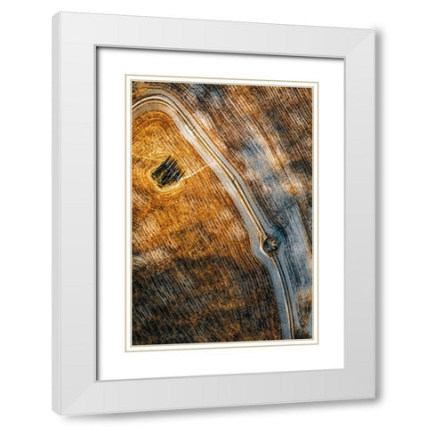 Series Tuscany - Lines And Curves White Modern Wood Framed Art Print with Double Matting by Chiriaco, Carmine
