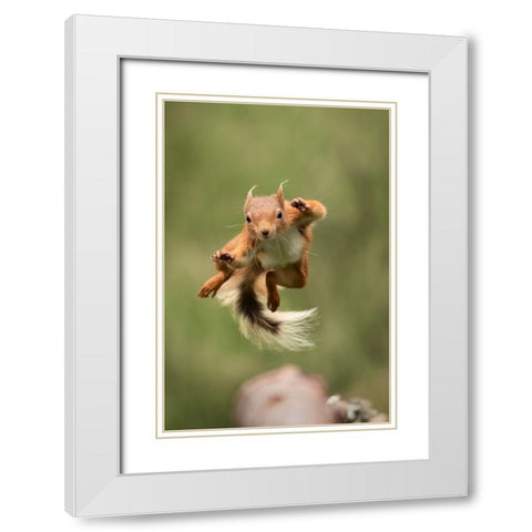 Ninja Dancing White Modern Wood Framed Art Print with Double Matting by Ashton-Jones, Howard