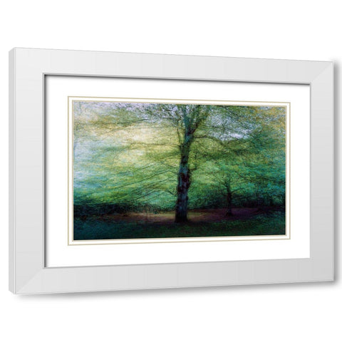 Forest White Modern Wood Framed Art Print with Double Matting by Antonio Cobo, Marco
