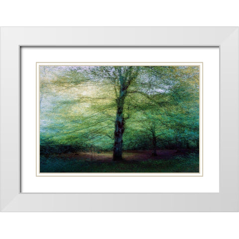 Forest White Modern Wood Framed Art Print with Double Matting by Antonio Cobo, Marco