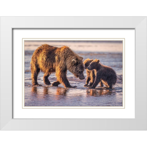 Eye To Eye White Modern Wood Framed Art Print with Double Matting by C. Sink, Jeffrey