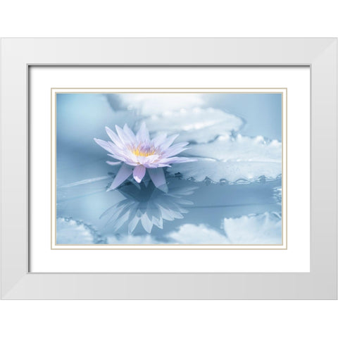 Reflection White Modern Wood Framed Art Print with Double Matting by Suzuki, Takashi
