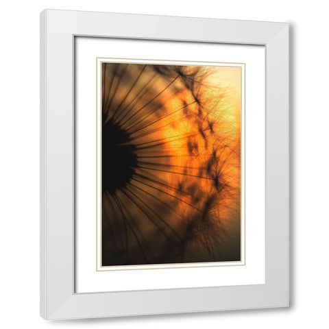 Sunset White Modern Wood Framed Art Print with Double Matting by Siegers, Ricky