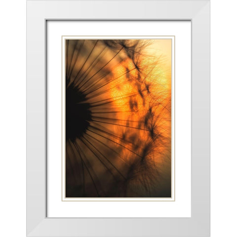 Sunset White Modern Wood Framed Art Print with Double Matting by Siegers, Ricky