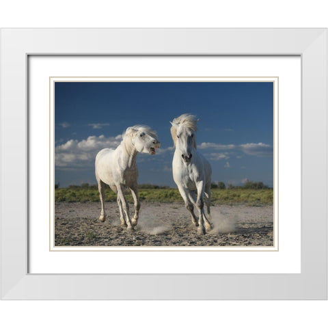 White Horses White Modern Wood Framed Art Print with Double Matting by Anton, Rostovskiy