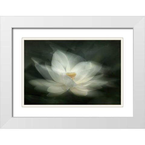 Swaying White Modern Wood Framed Art Print with Double Matting by Zhao, Qing