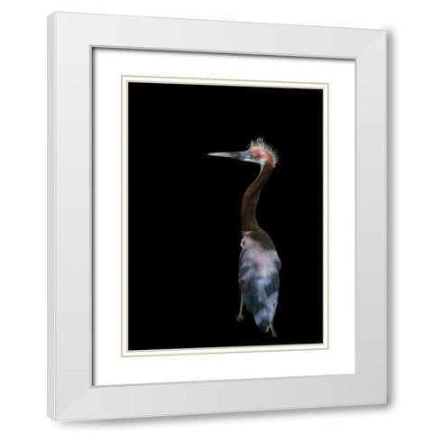 Bad Haired Day White Modern Wood Framed Art Print with Double Matting by Zhu, Eddie