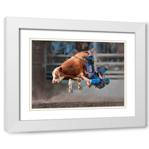 Bull Riding White Modern Wood Framed Art Print with Double Matting by Ma, Frank