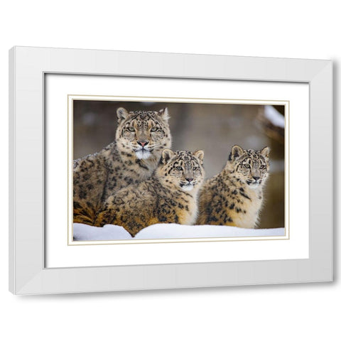 Family White Modern Wood Framed Art Print with Double Matting by Blair, Louis