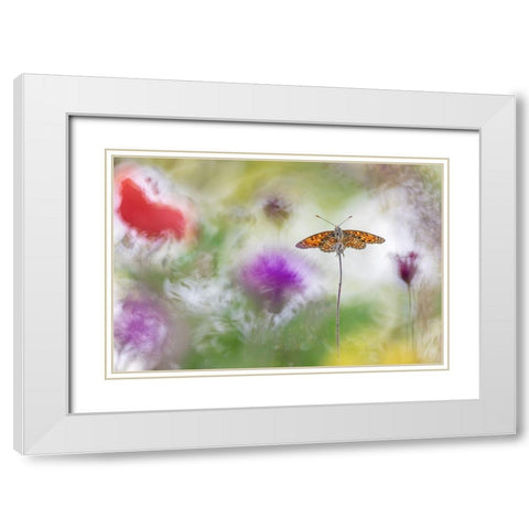 Colour Splashes White Modern Wood Framed Art Print with Double Matting by Spranz, Henrik