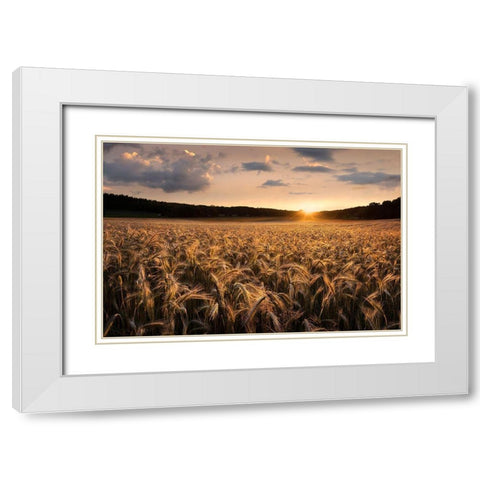 Fields Of Gold White Modern Wood Framed Art Print with Double Matting by Lindsten, Christian