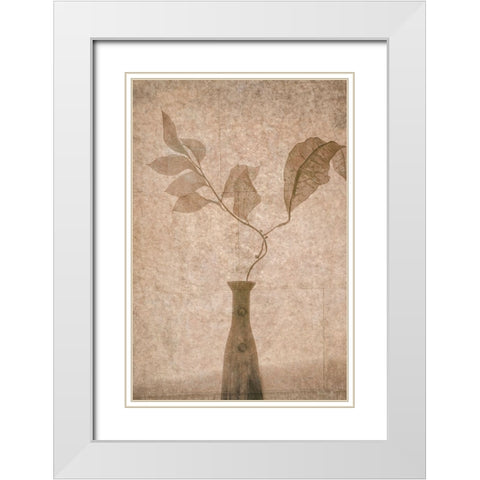 Still Life White Modern Wood Framed Art Print with Double Matting by Tokarev, Igor