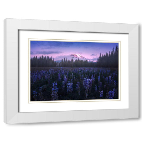 Adams Lupine White Modern Wood Framed Art Print with Double Matting by Bandyopadhyay, Atanu