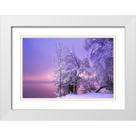 Stillness White Modern Wood Framed Art Print with Double Matting by Maier, Norbert