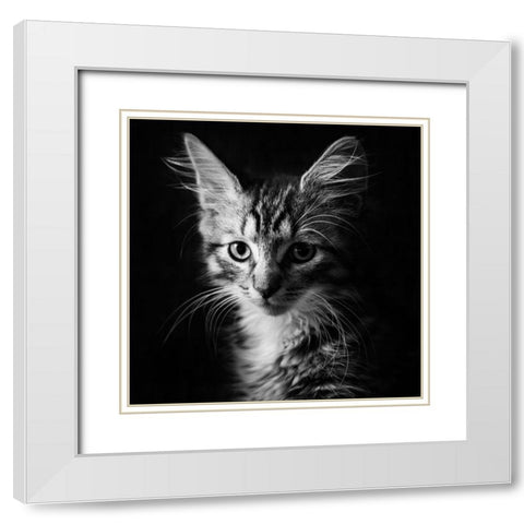 Laban White Modern Wood Framed Art Print with Double Matting by Holmqvist, Marcus