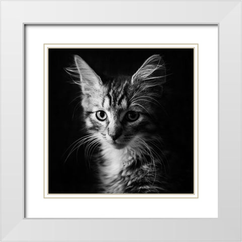 Laban White Modern Wood Framed Art Print with Double Matting by Holmqvist, Marcus