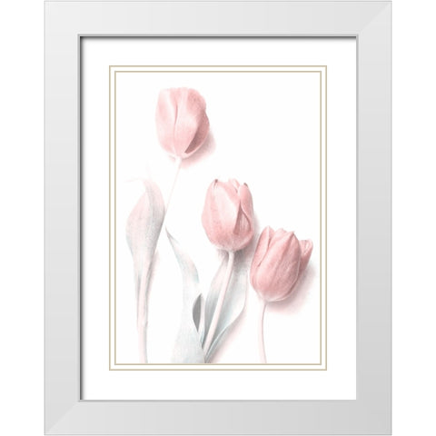 Sweet Pink White Modern Wood Framed Art Print with Double Matting by Devos, Delphine